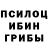 Галлюциногенные грибы Psilocybe Atan Gadik