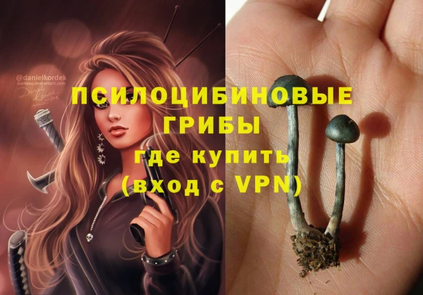 амфетамин Богданович