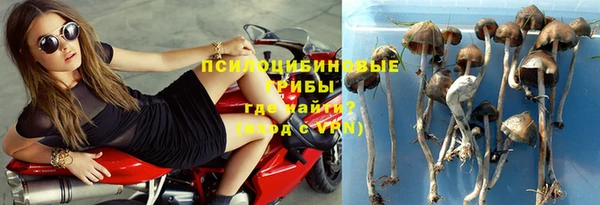 амфетамин Богданович