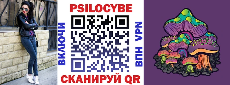 Галлюциногенные грибы Psilocybe  Наро-Фоминск 